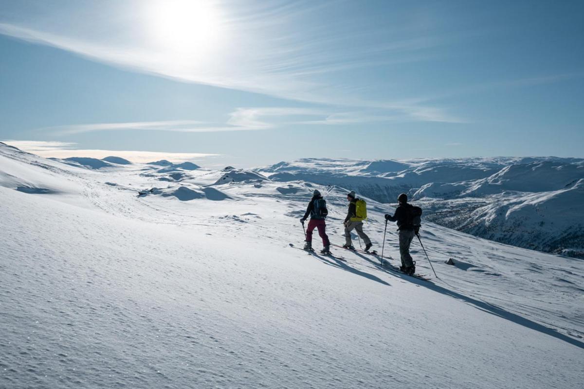מלון Grøndalen Harahorn Fjellgard מראה חיצוני תמונה